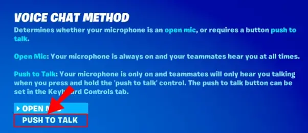 . now, go back into the voice chat option — since you’re on the computer, you’ll also get the option for “push to talk” — you can turn it on if you find it helpful