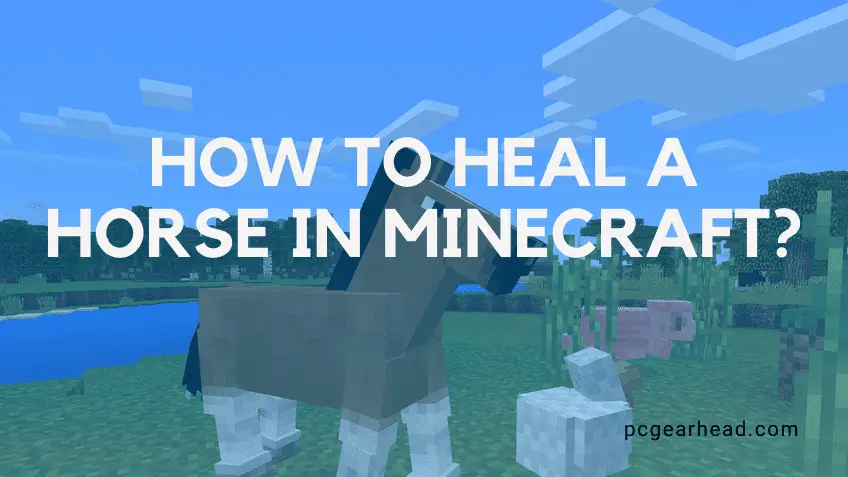 how to heal a horse in minecraft