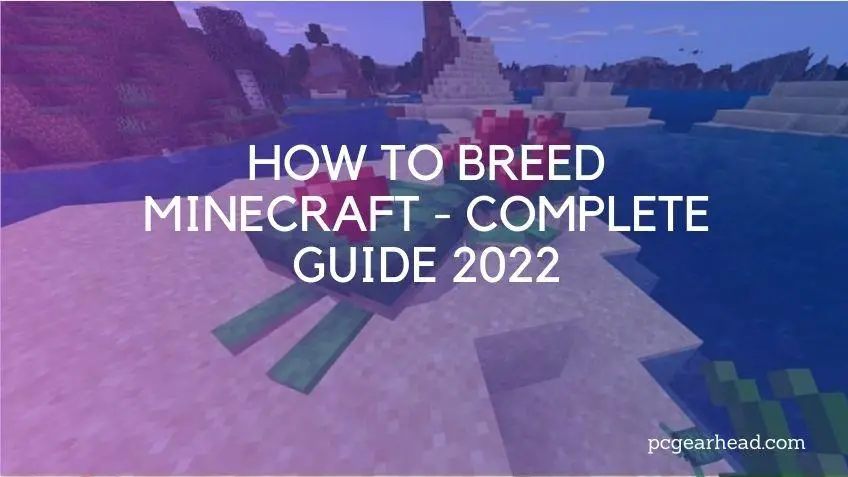 how to breed turtles minecraft